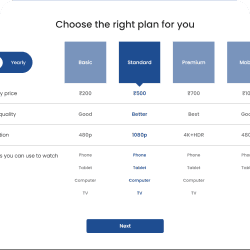 OTT Subsription Webapp